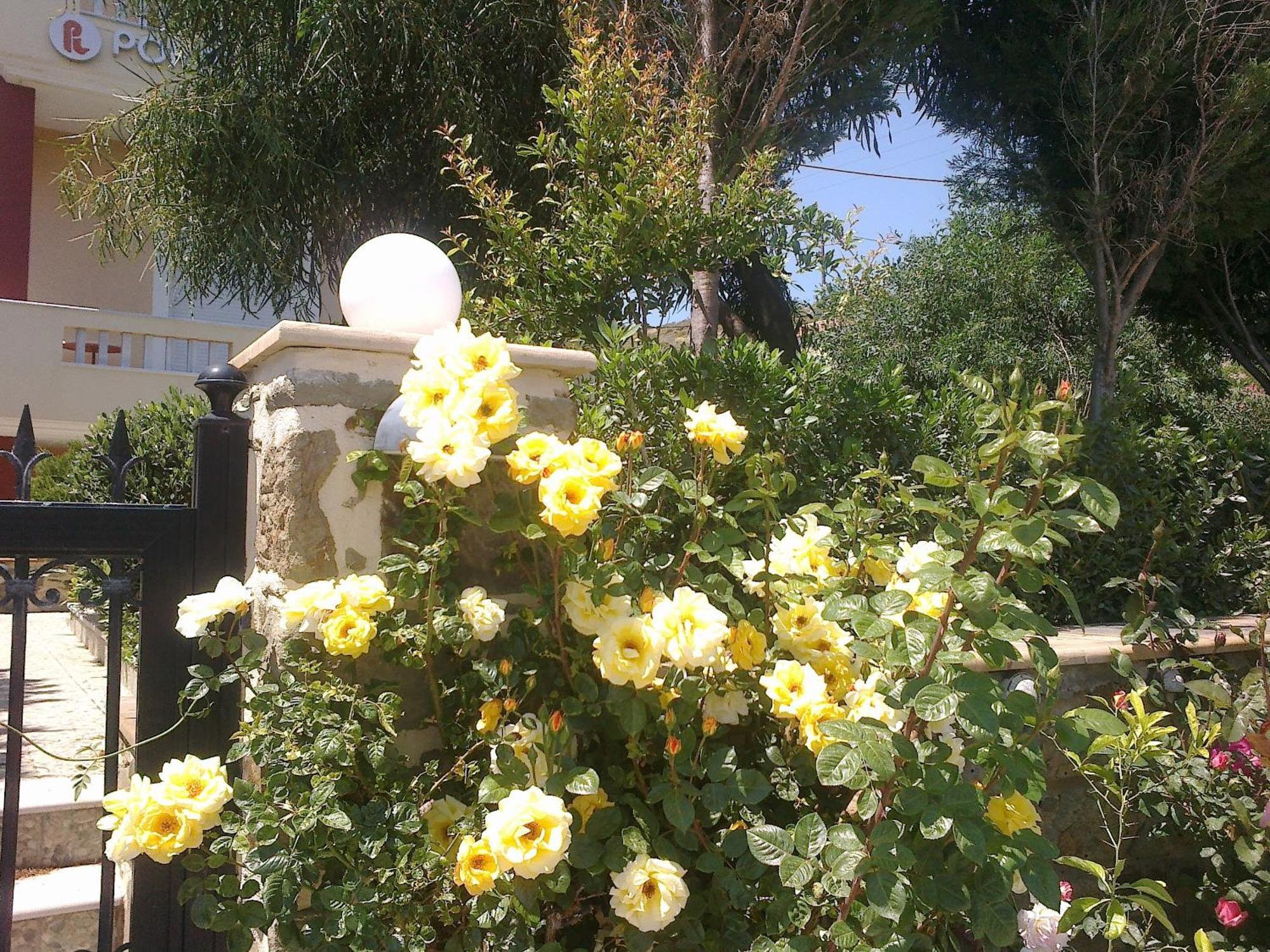 Appartement Porto Limnia *